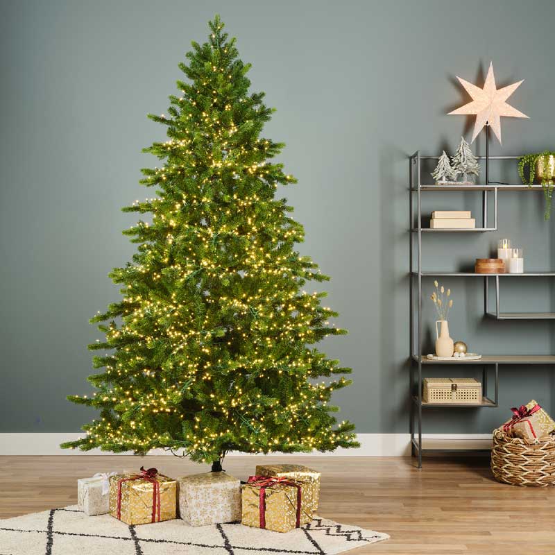 Everlands 6ft Galloway Spruce Pre-Lit Christmas Tree 8720725850163 2